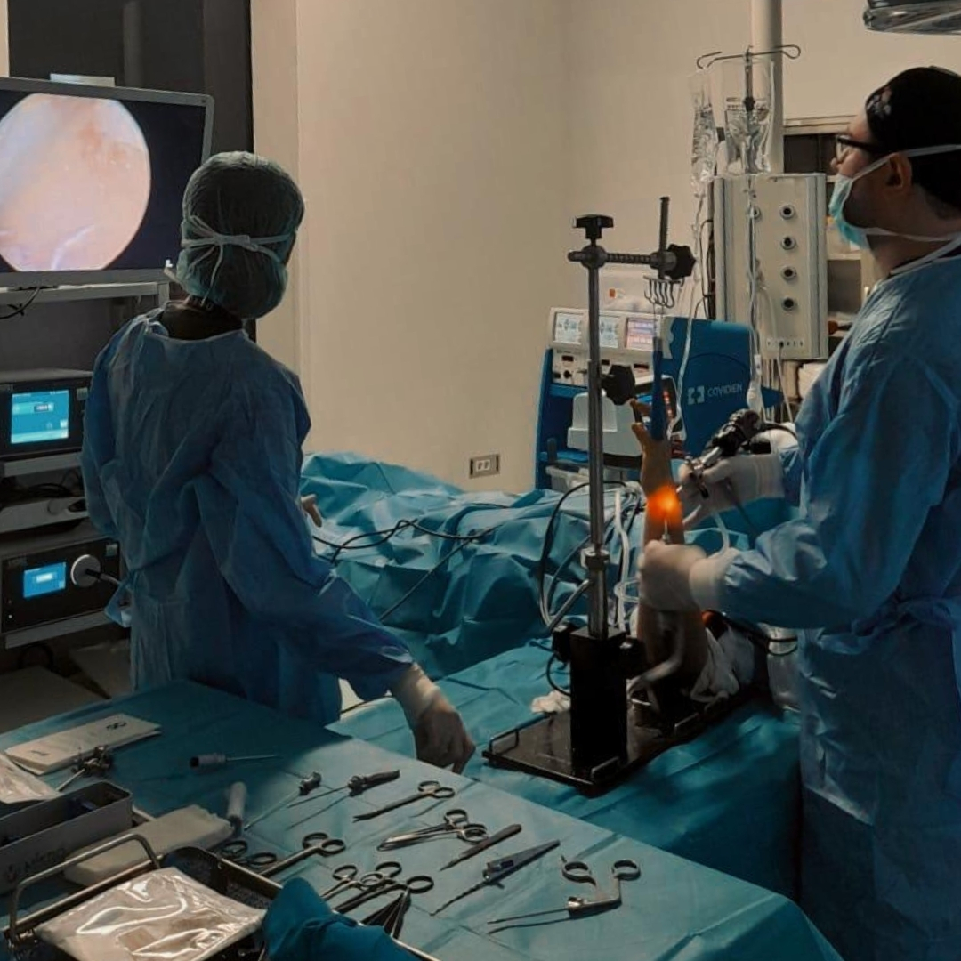 Bursa rekonstrüktif mikrocerrahi ve el cerrahisi merkezi